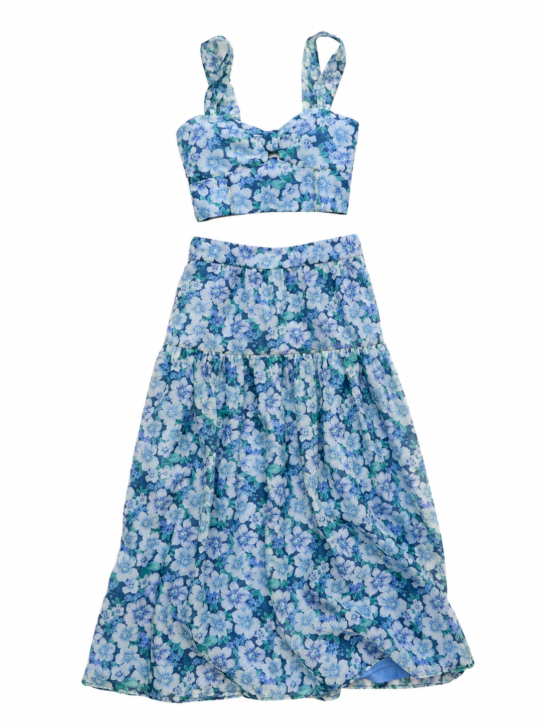 Blue Floral Print Sleeveless Crop Top and Maxi Skirt Set